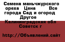 Семена маньчжурского ореха › Цена ­ 20 - Все города Сад и огород » Другое   . Калининградская обл.,Советск г.